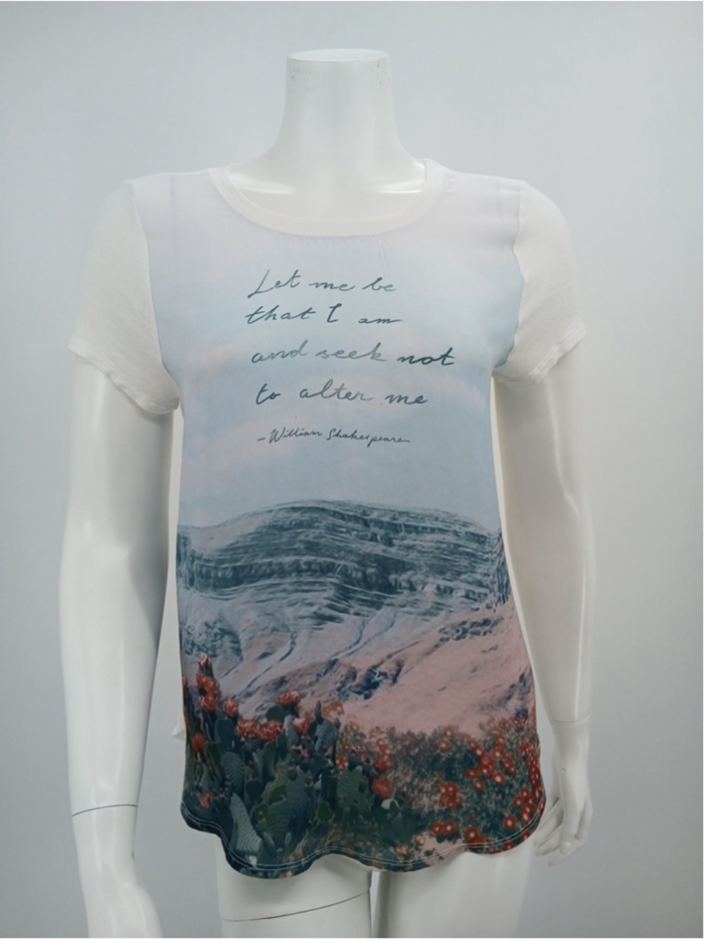 Hollister Womens Tee Top Size S